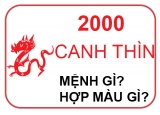Sinh Năm 2000 Mệnh Gì?
